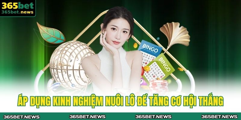 Áp dụng kinh nghiệm nuôi lô để tăng cơ hội thắng