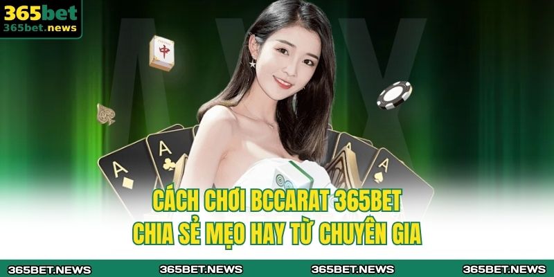 cách chơi baccarat 365bet